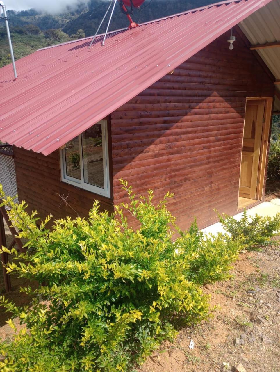 Mario'S Lodge Providencia Copey Exterior foto
